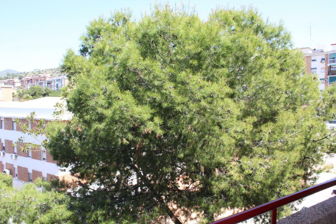 Apartamento Con Parking Gratuito Малага Екстер'єр фото